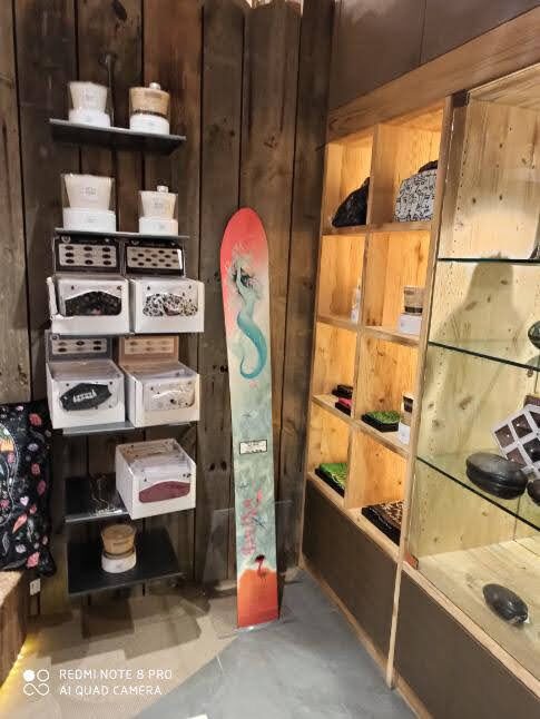Monoski Silicone One exposé dans une boutique, contre un mur de bois clair